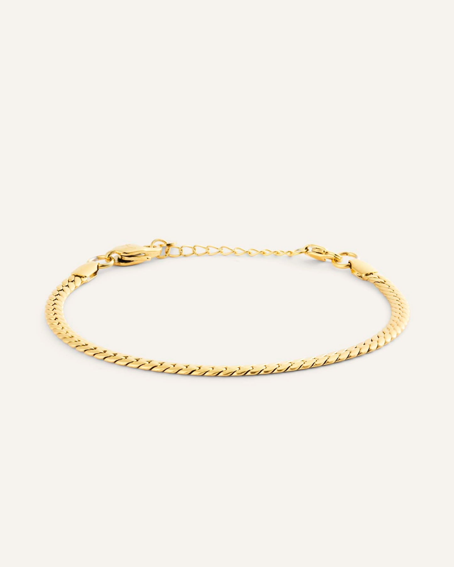 Serpentine Chain Bracelet