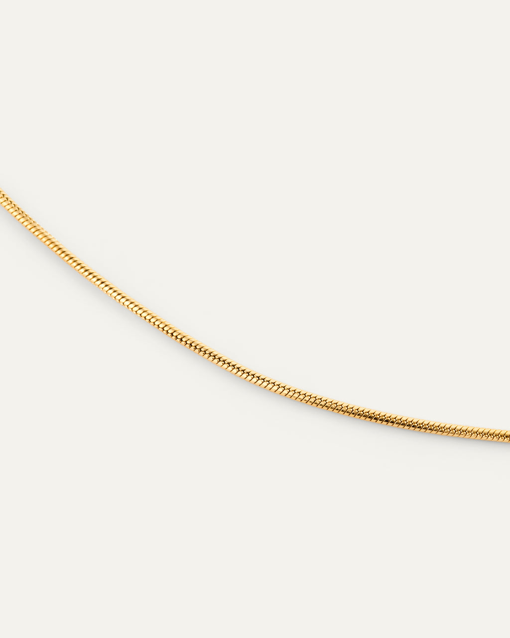 Snake Chain Bracelet