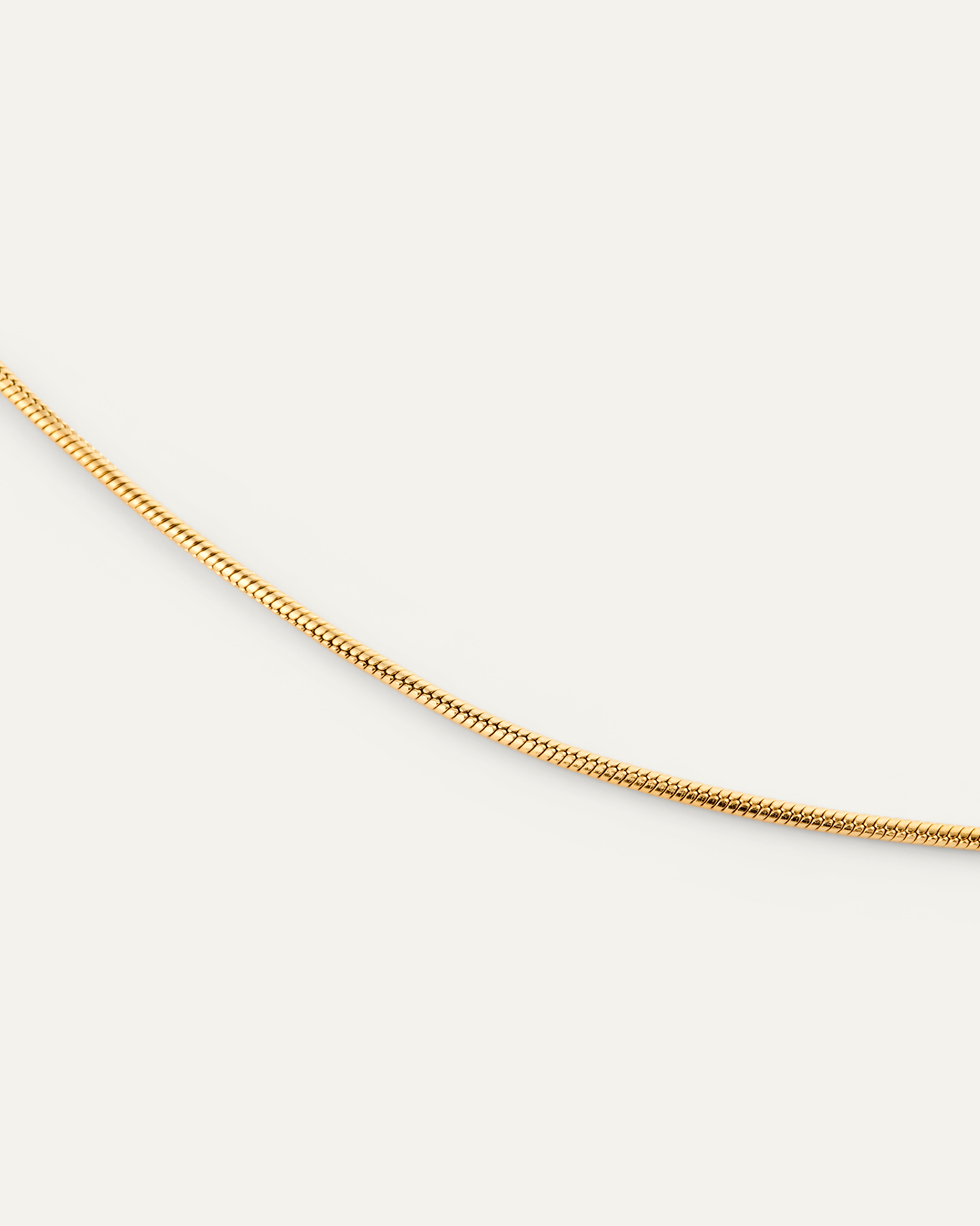 Snake Chain Bracelet
