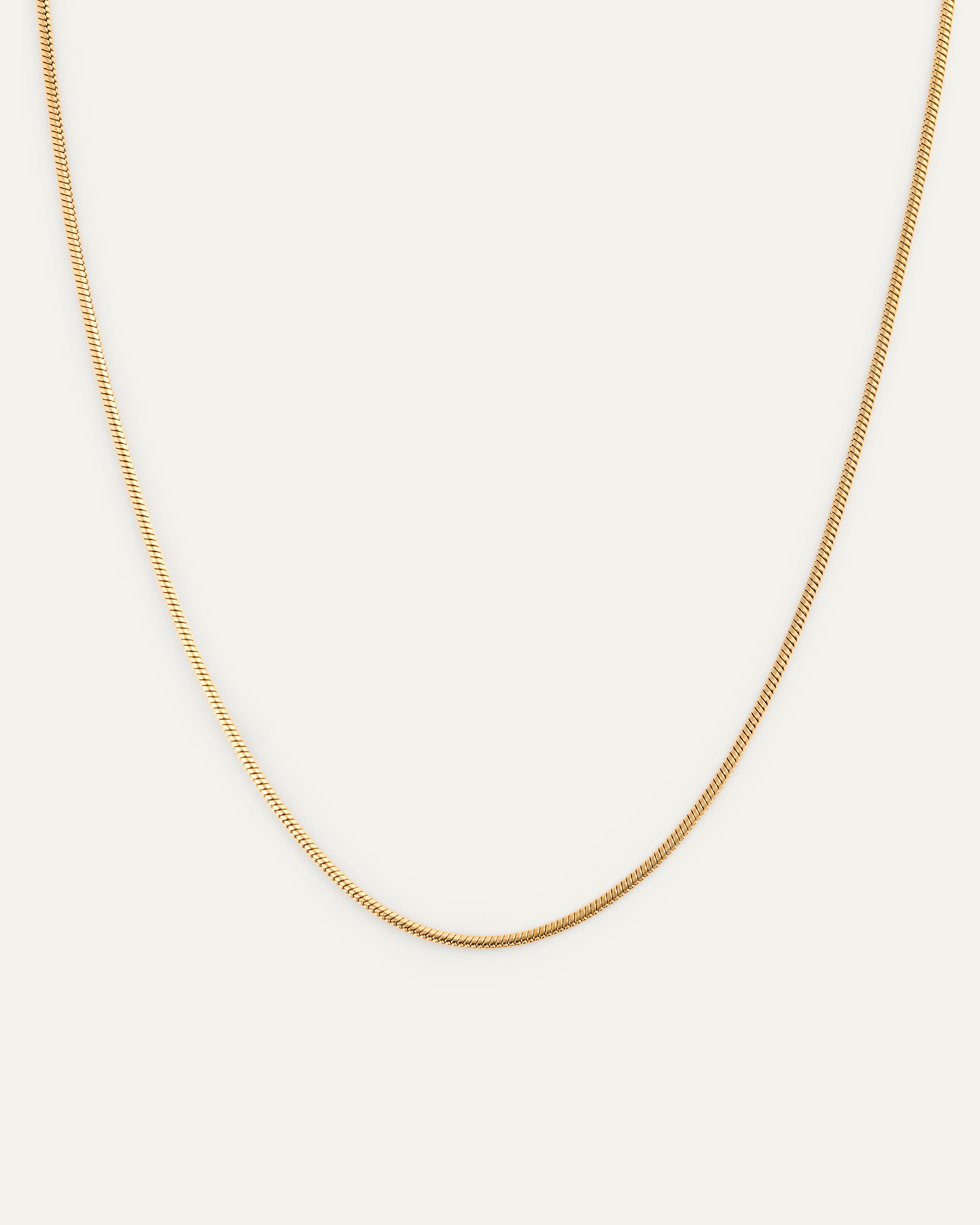 Snake Chain Necklace