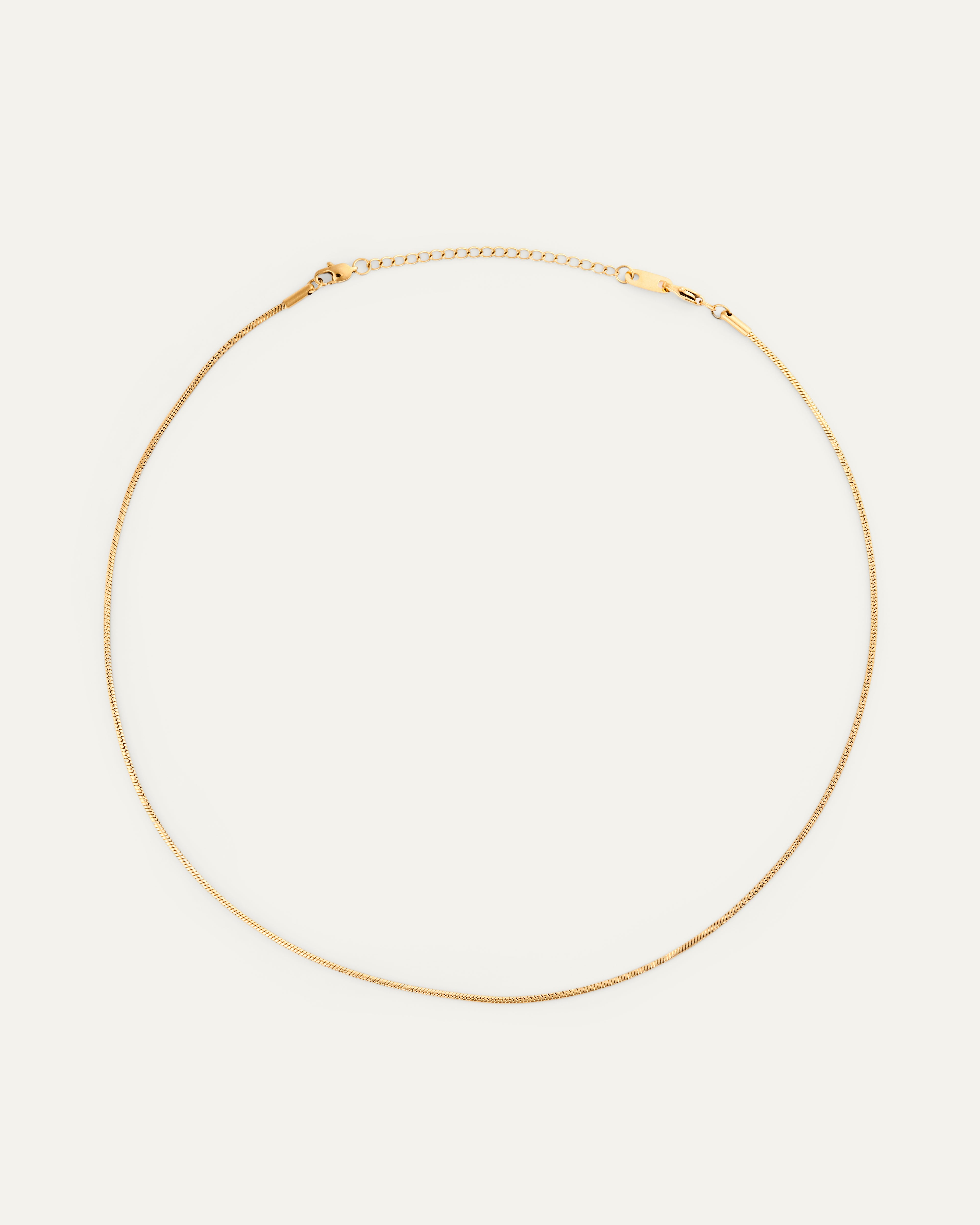 Snake Chain Necklace