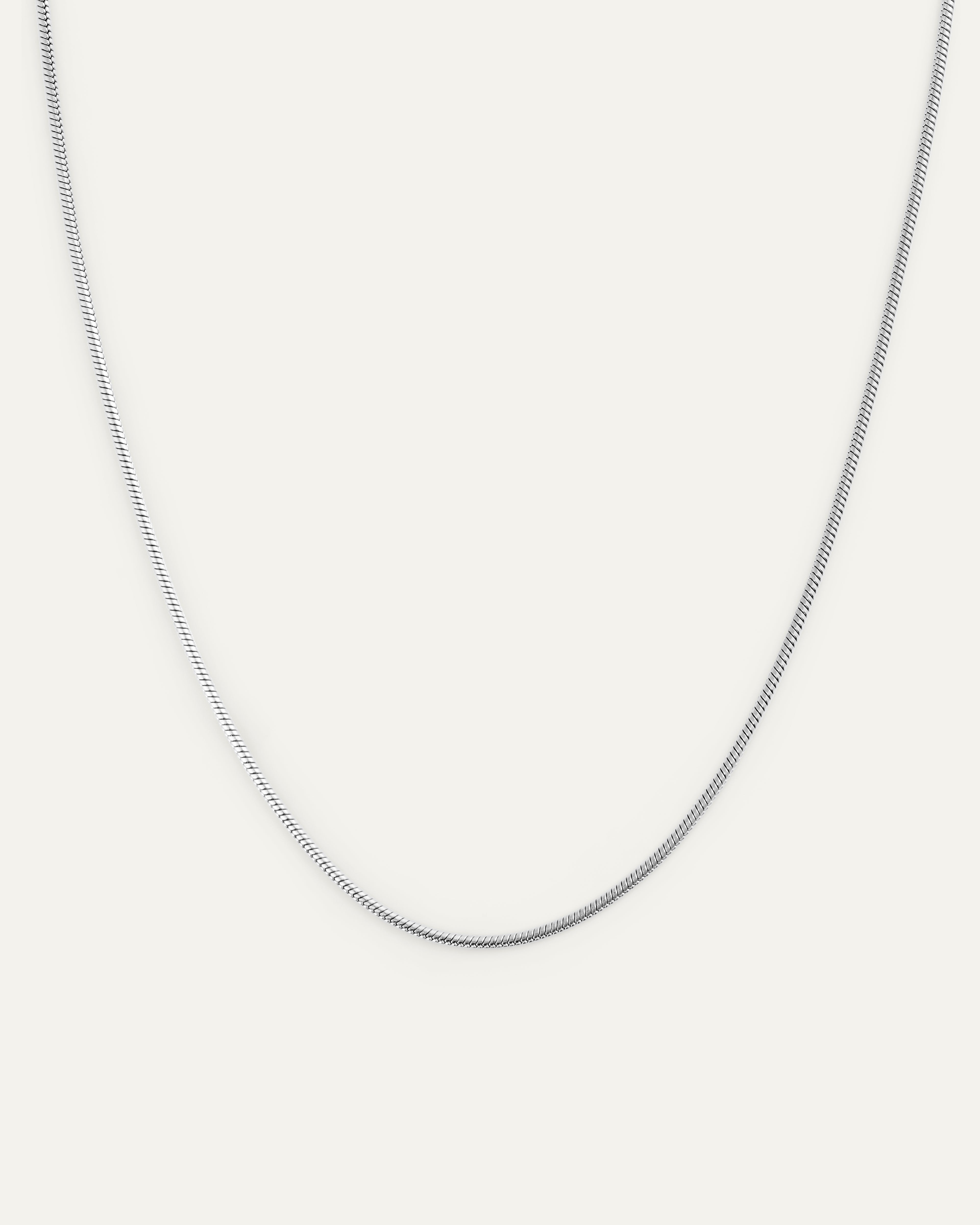 Snake Chain Necklace