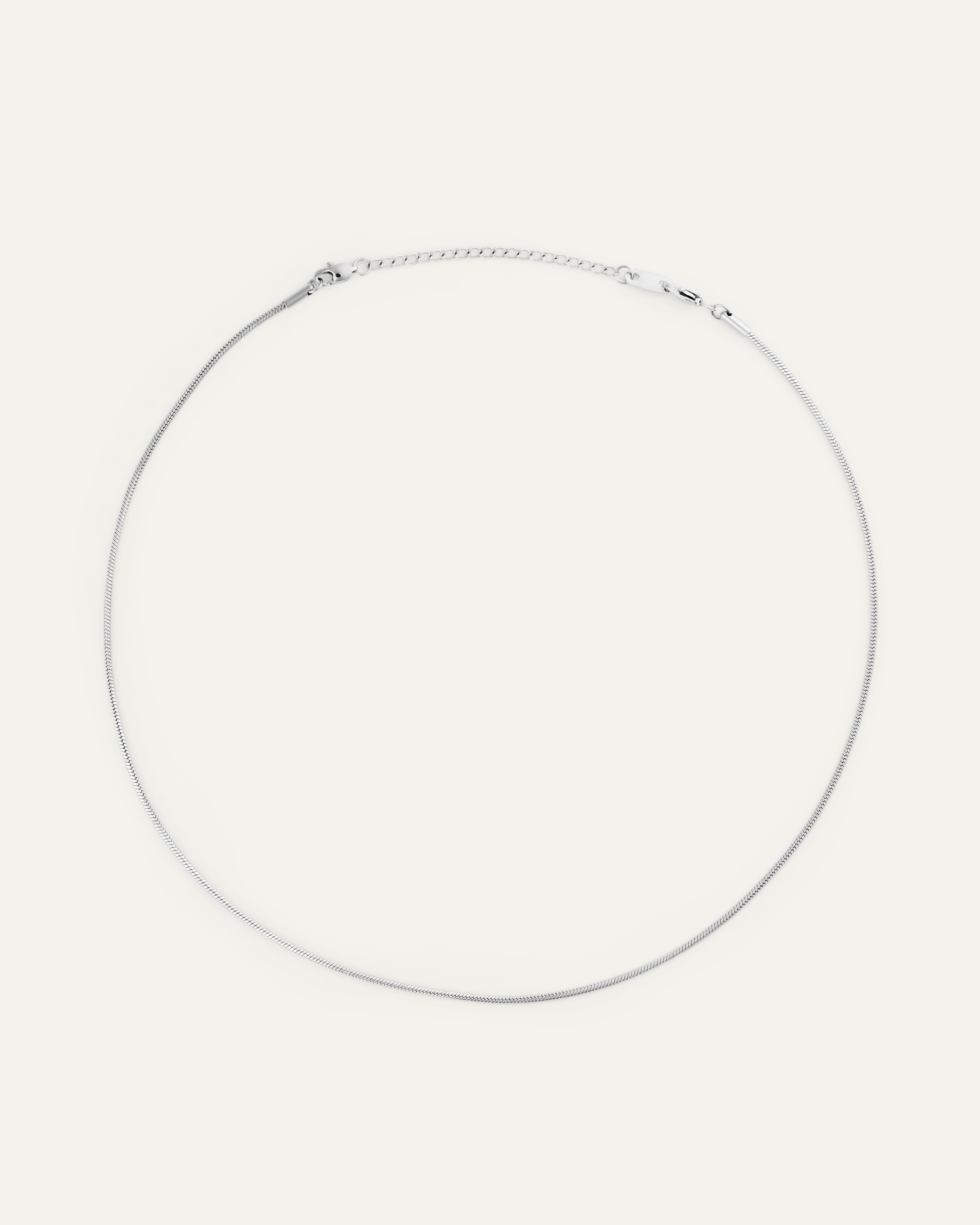 Snake Chain Necklace