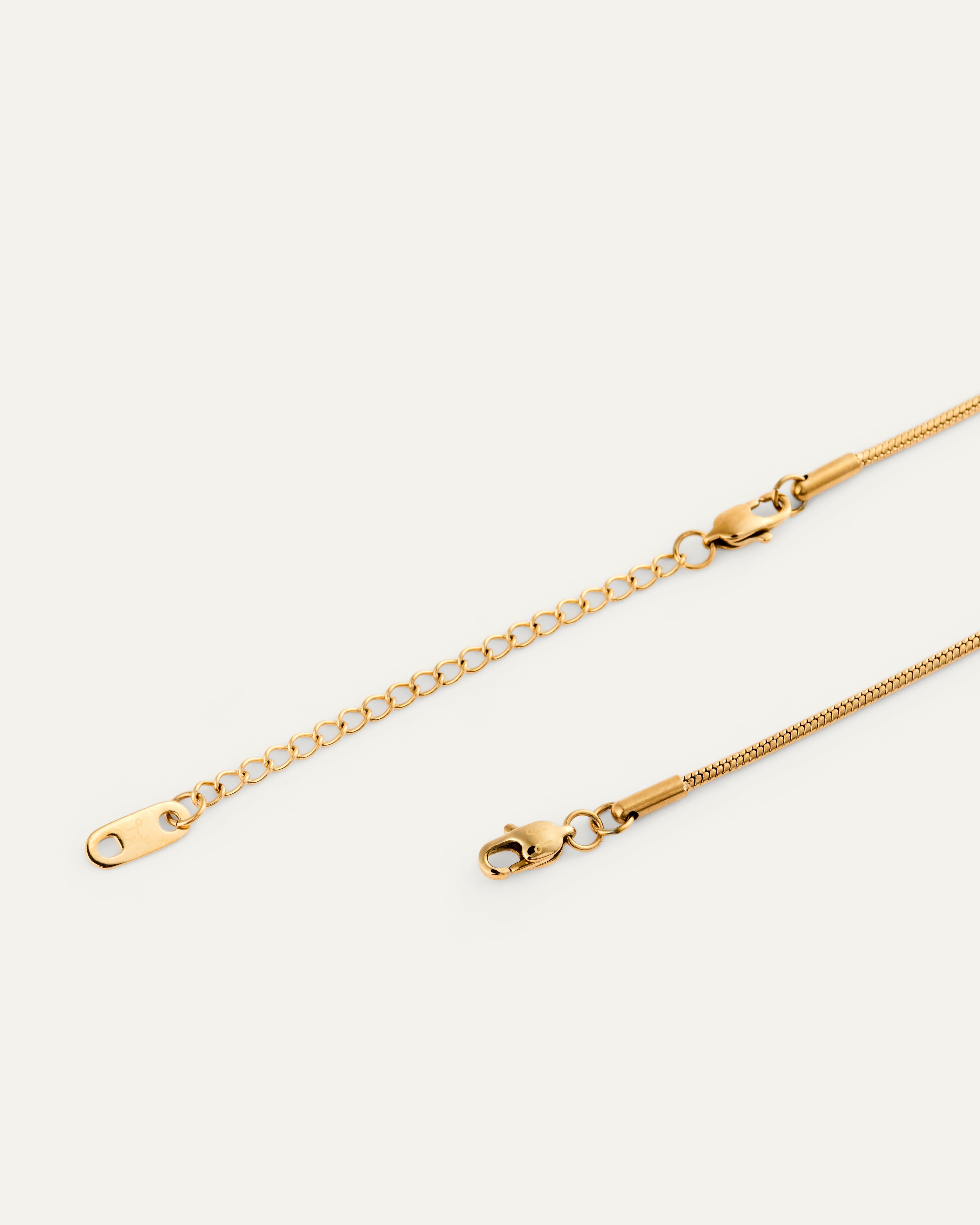 Snake Chain Necklace