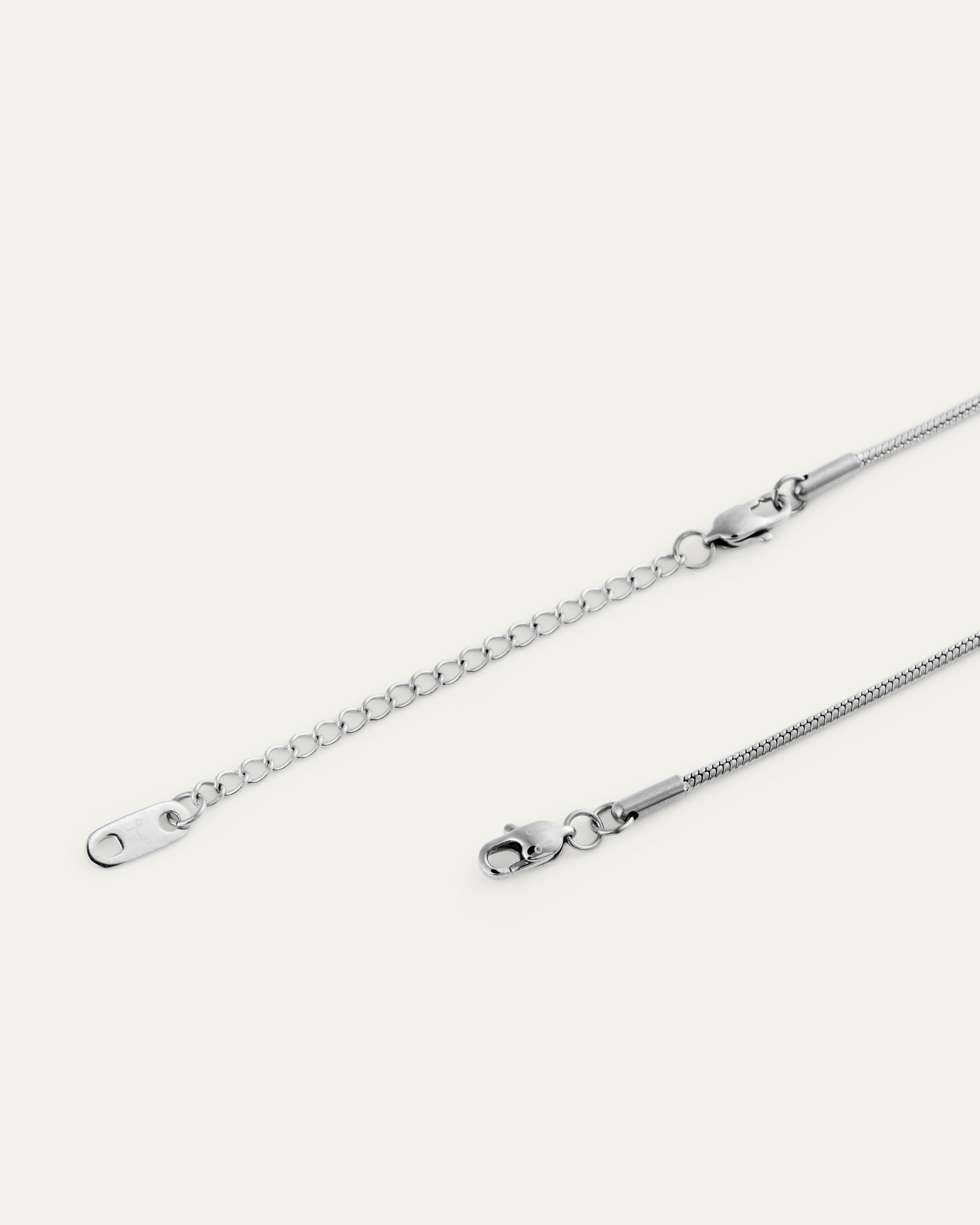 Snake Chain Necklace