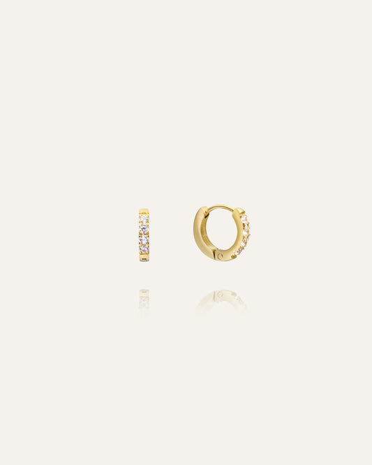 Shiny Mini Gold Hoops