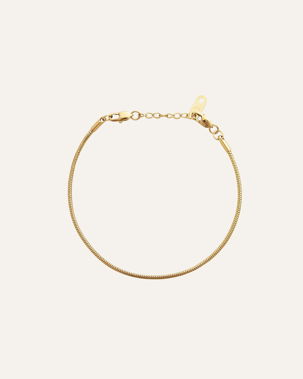 Snake Chain Bracelet
