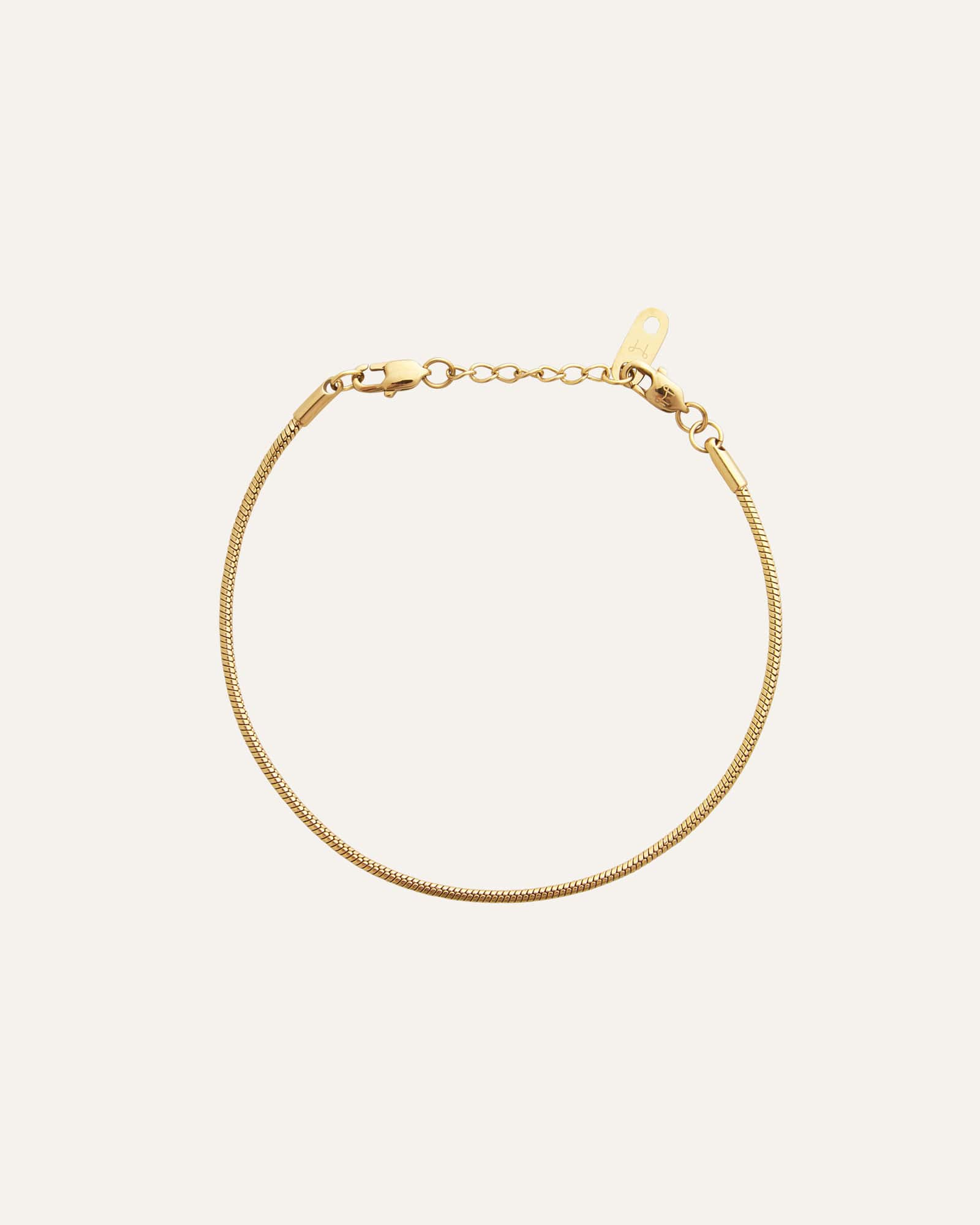 Snake Chain Bracelet